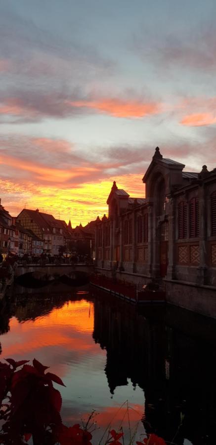 New ! Vue Petite Venise, Place To Be - Parking Colmar Eksteriør bilde