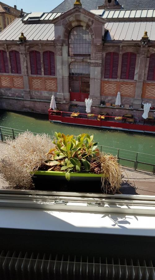 New ! Vue Petite Venise, Place To Be - Parking Colmar Eksteriør bilde