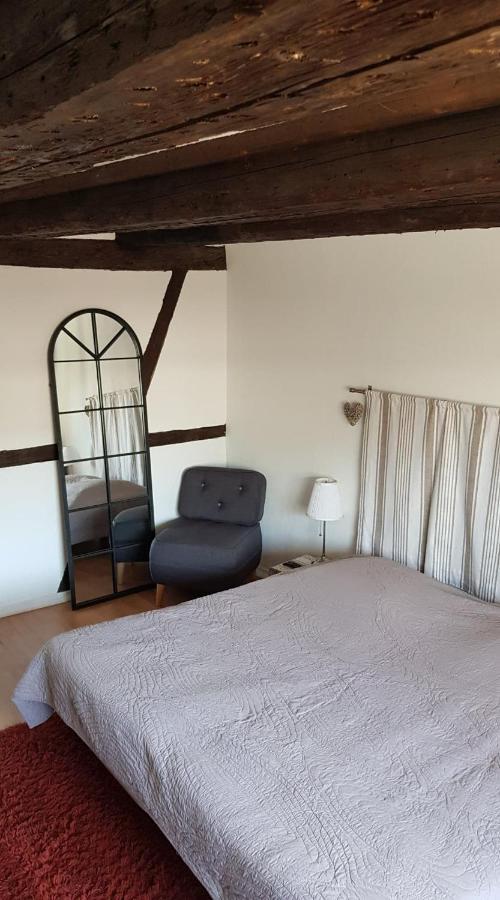 New ! Vue Petite Venise, Place To Be - Parking Colmar Eksteriør bilde